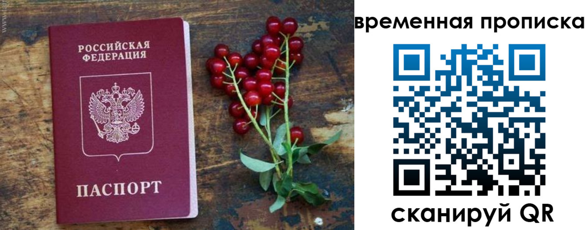 временная регистрация гарантия в Татарстане